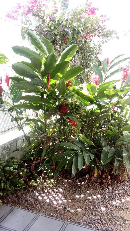 Pousada Terra De Minas ناتال المظهر الخارجي الصورة